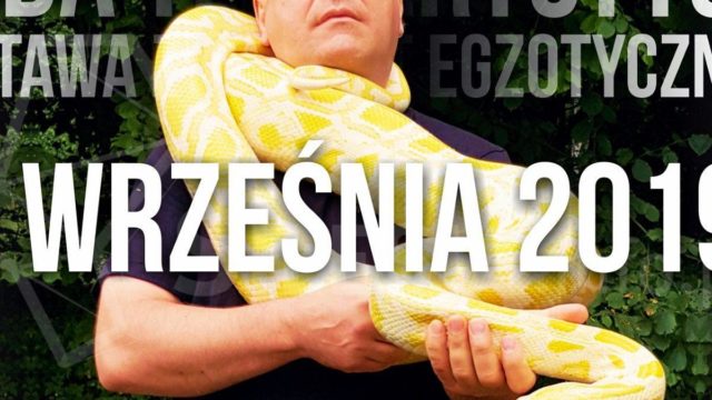 Giełda terrarystyczna