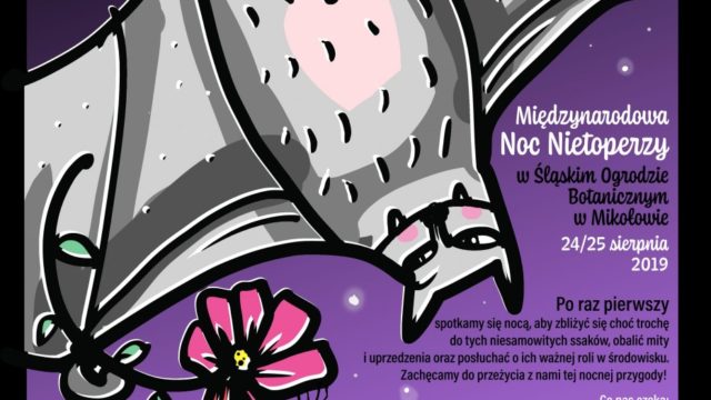 Międzynarodowa Noc Nietoperzy