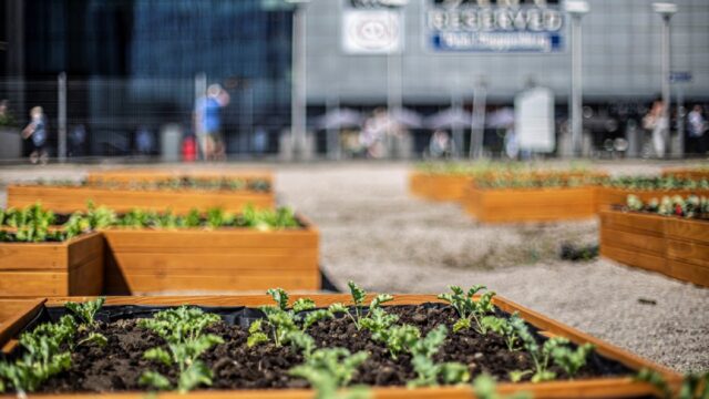 miejska farma katowice galeria